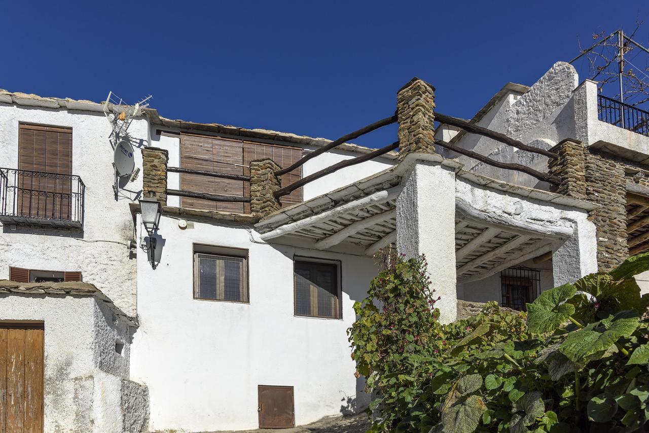 카피레이라 Casa Amaranta 게스트하우스 외부 사진